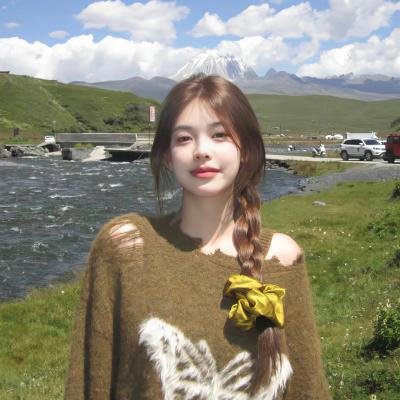 超级翁婿